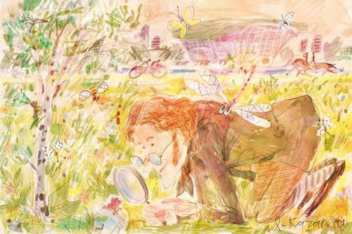 У «Казань-Арены» появятся парк, дендрарий и вертолетная площадка