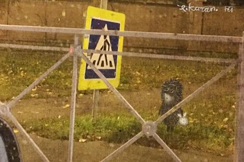 Кривая Казань: «Кто хочет стать вольтметром?»