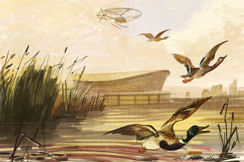 Вертолетная площадка и парк развлечений. Казанцы дождутся новой набережной у «Казань-Арены»