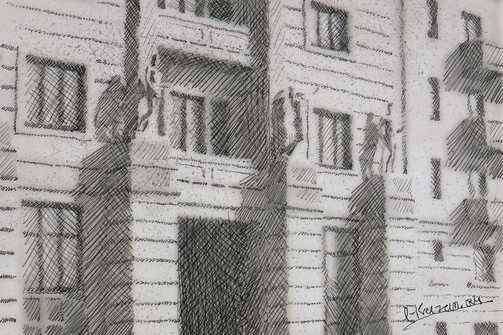 Если кто-то не знал: в Казани есть дом с классным прозвищем – Серая лошадь  