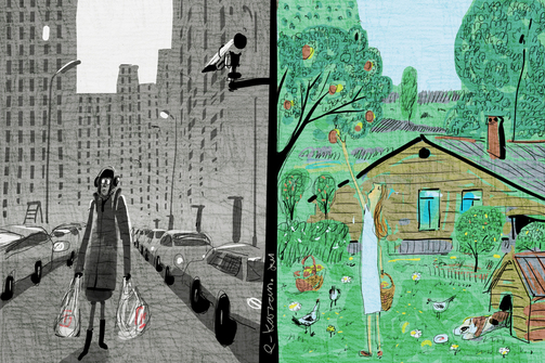 Что лучше: дом за городом или квартира в Казани? Рассказывает человек, у которого есть и то, и другое