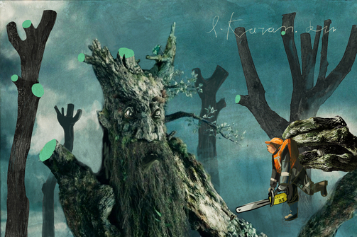 Казанская резня бензопилой: так теперь выглядят деревья на улицах города