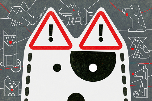 Надеемся, не пригодится: гайд по общению с агрессивными бродячими собаками