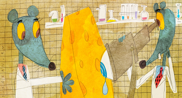 Сыр с маслом