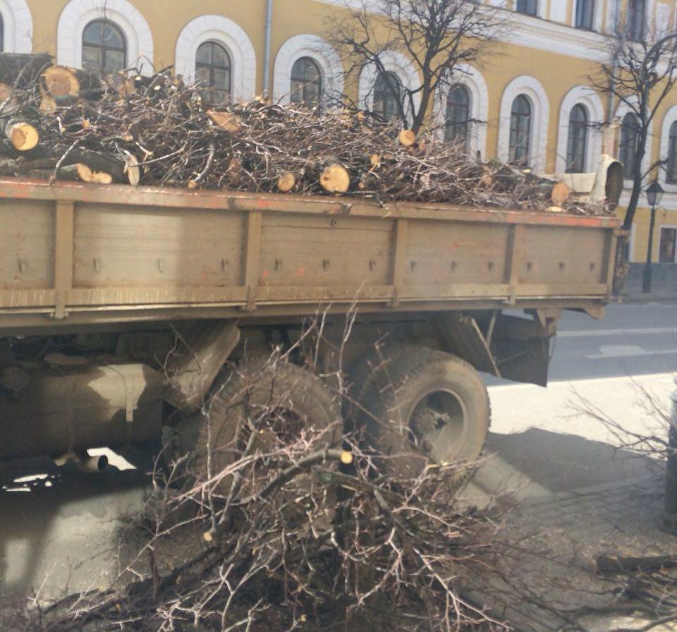 Фото: Адель Киямов