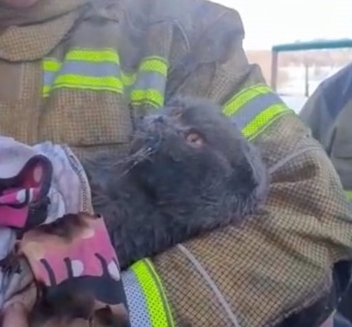 Фото: МЧС РТ