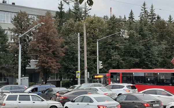 Фото: соцсети