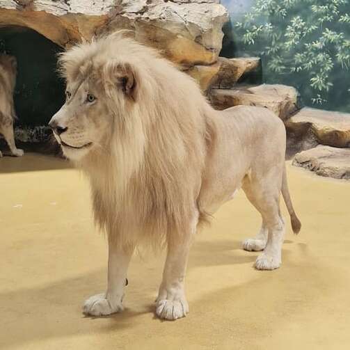 Фото: kazanzoo1806/instagram.com