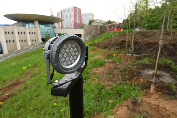 Фото: Денис Гордийко/kzn.ru