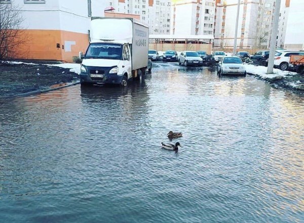 Фото: Refregerator/pikabu.ru