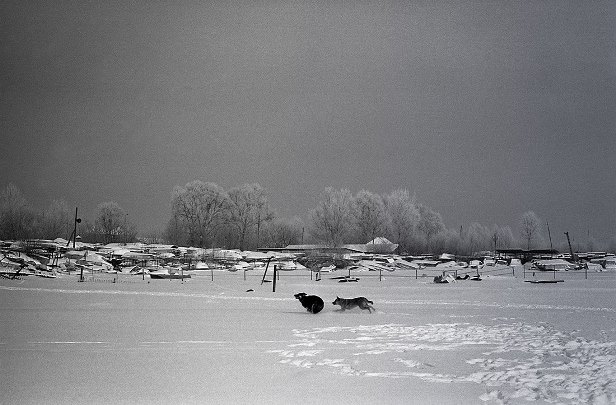 Фото: Евгений Канаев