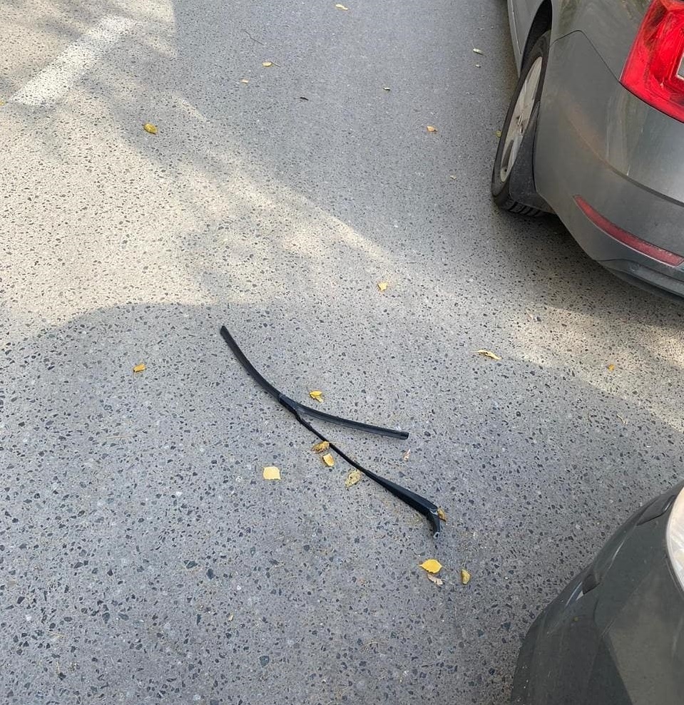 Тот самый дворник. Фото: 