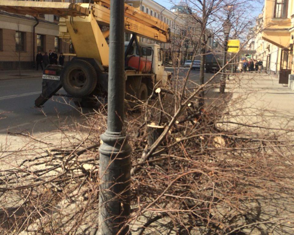 Фото: Адель Киямов