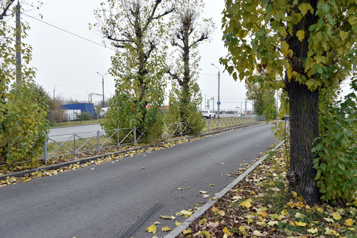 Фото: president.tatarstan.ru