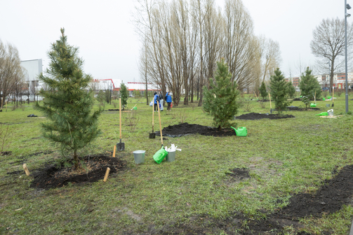 Все фото: Марат Мугинов/kzn.ru