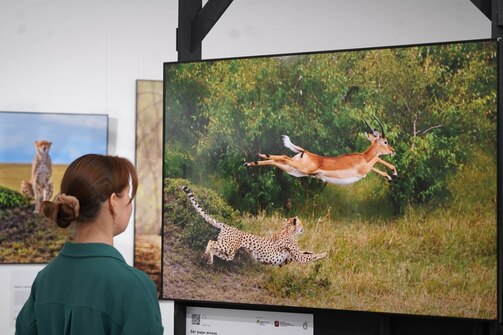 Фото: kitaphane_tatarstan/vk.com