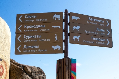 Фото: Марат Мугинов/kzn.ru