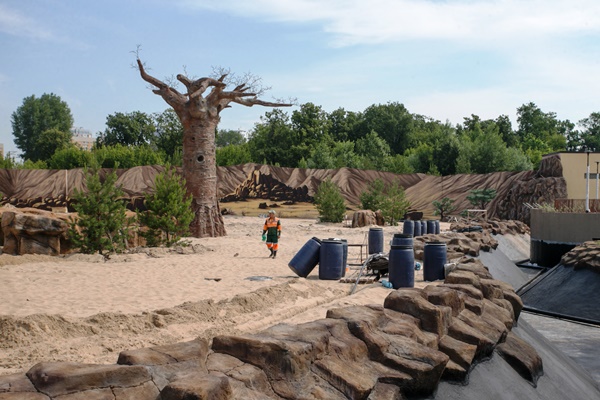 Фото: Марат Мугинов/kzn.ru