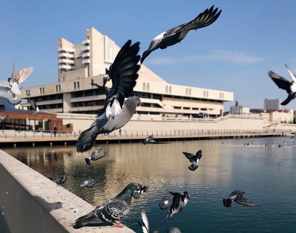 Фото: rustik_rustem/instagram.com