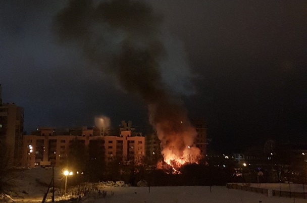 Фото: соцсети