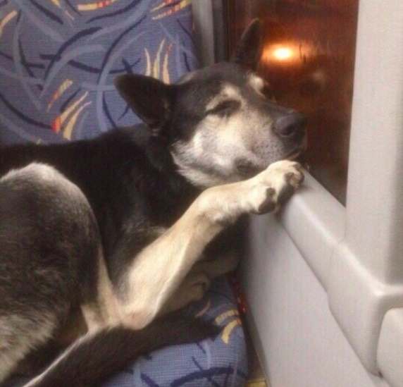 Фото: соцсети