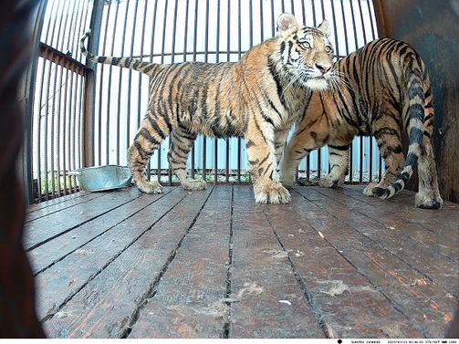 Фото: пресс-служба «Аэрофлота»