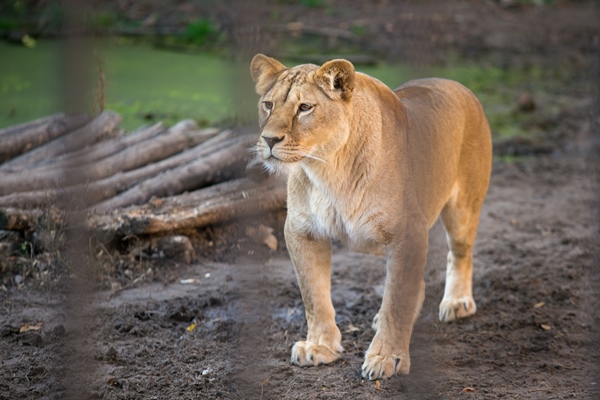 Фото: Марат Мугинов/kzn.ru