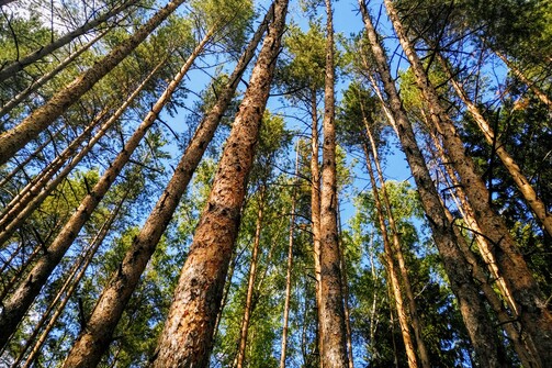 Фото: e-Kazan.ru