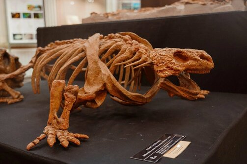 Фото: kazan-kremlin.ru