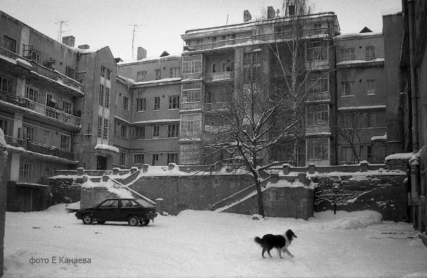 Фото: Евгений Канаев