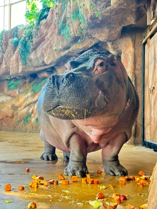 Фото: kazzoobotsad/vk.com