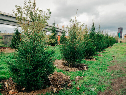 Фото: администрация Вахитовского и Приволжского районов