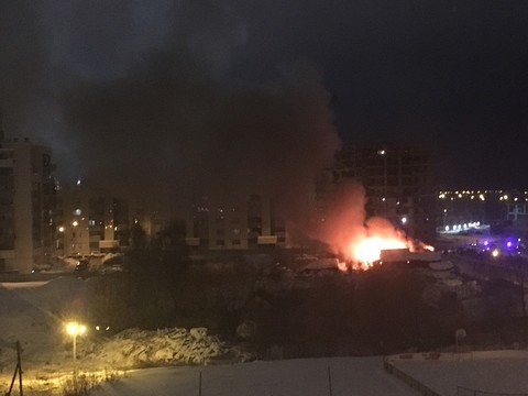 Фото: соцсети