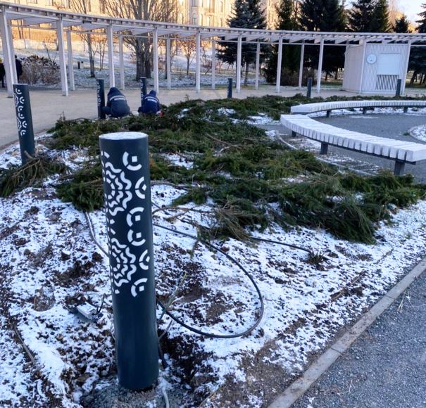 Фото: park.kzn/instagram.com