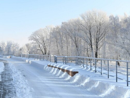 Фото: Денис Гордийко/kzn.ru