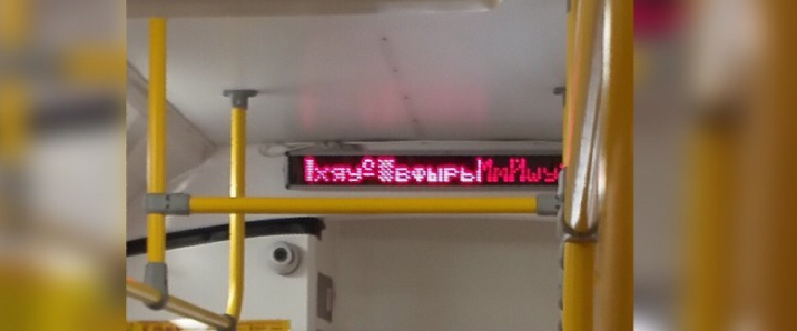 Фото: соцсети