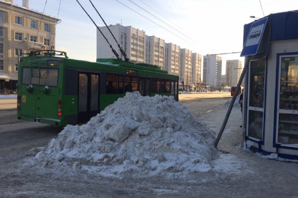 Водители автобусов не видели людей. Фото: onf.ru