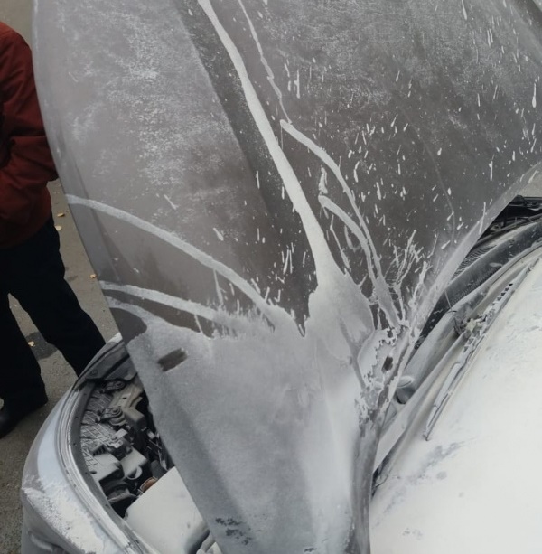 Фото: соцсети