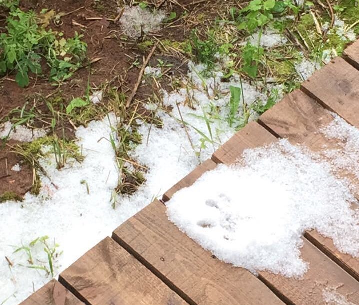 Снег в июне. Фото: e-Kazan.ru