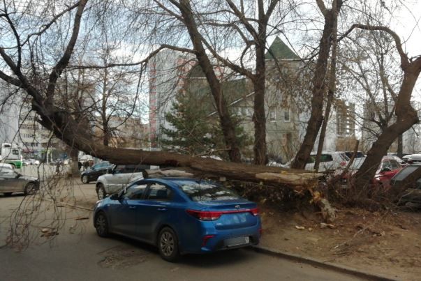 Фото: соцсети