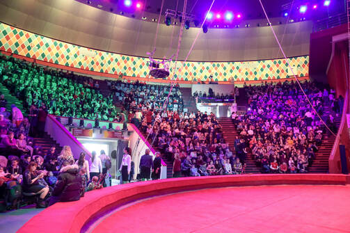 Фото: Марат Мугинов/kzn.ru