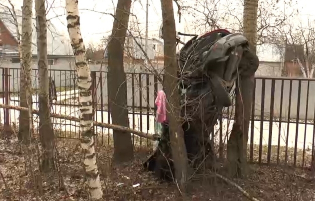 Машина застряла между двух деревьев. Фото: соцсети