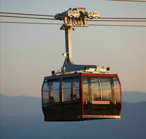 Фото: leitner-ropeways.com