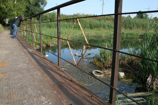 Адмиралтейский пруд не в лучшем состоянии. Фото: ОНФ РТ