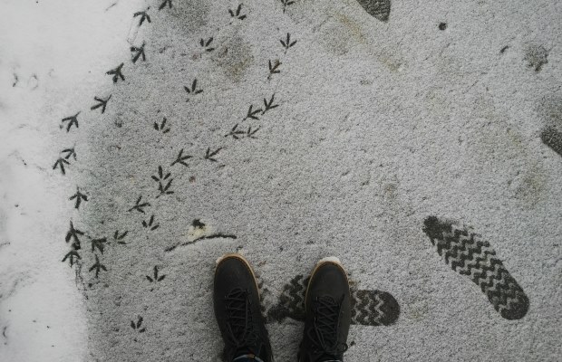 Фото: e-Kazan.ru