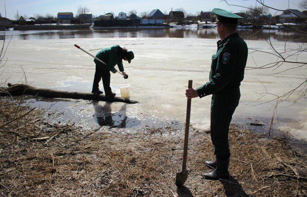Фото: eco.tatarstan.ru