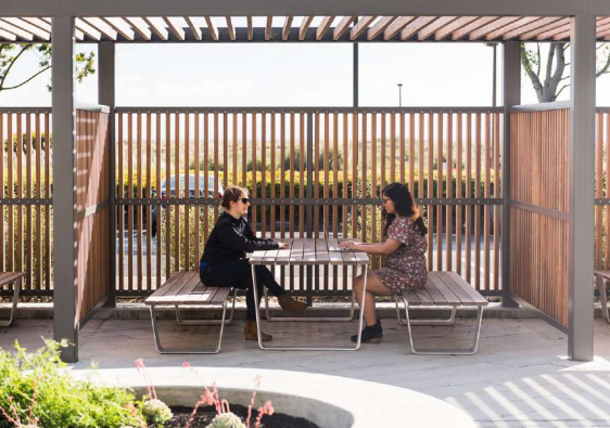 Эскиз: park.tatar