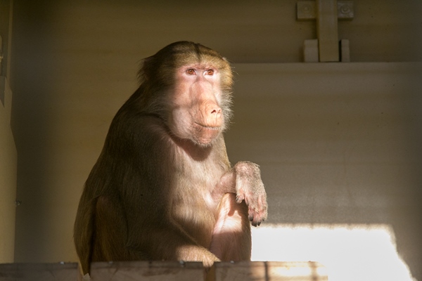 Фото: Марат Мугинов/kzn.ru