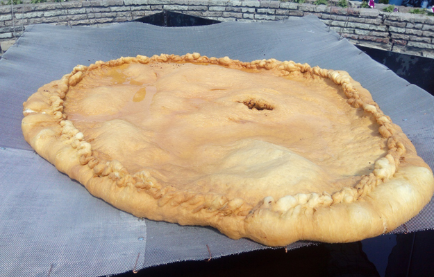 Фото: соцсети