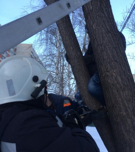 Фото: mchs.tatarstan/vk.com